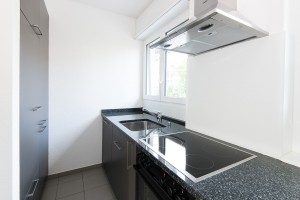 MFH, Architektur, Renovation, Fotograf, Zürich